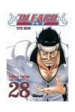 Bleach 28