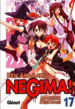 Negima! Magister Negi Magi 17