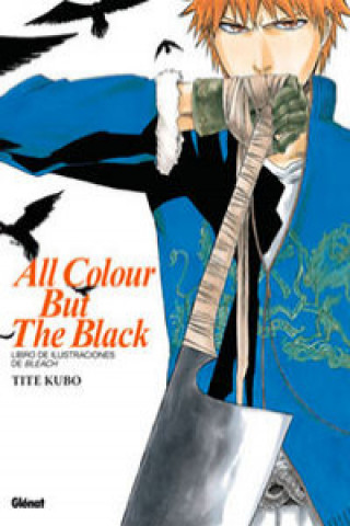 Bleach art book : all colour but the black