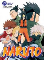 NARUTO CATALAN 37 (COMIC)