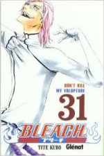 Bleach 31