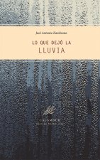 Lo que dejó la lluvia