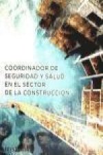 Coordinador de seguridad y salud en el sector de la construcción