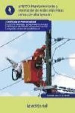 Mantenimiento de redes eléctricas aéreas de alta tensión : montaje y mantenimiento de redes eléctricas de AT de 2 y 3 categoría y centros de transform