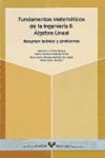 Fundamentos matemáticos de la ingeniería II : álgebra lineal. Resumen teórico y problemas