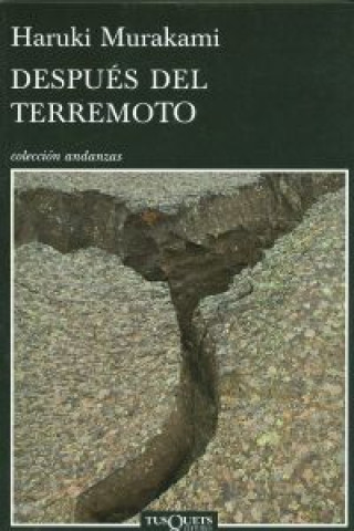 Después del terremoto