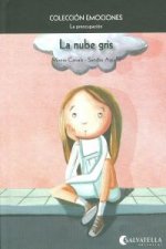 La nube gris. La preocupación