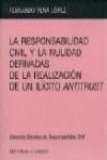 La responsabilidad civil y la nulidad derivadas de la realización de un ilícito 