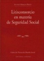 Liticonsorcio en materia de seguridad social