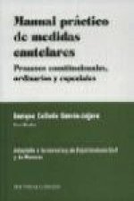 Manual práctico de medidas cautalares