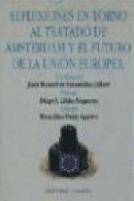 Reflexiones en torno al Tratado de Amsterdam y el futuro de la Unión Europea