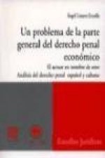 Un problema de la parte general del derecho penal económico