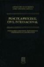 Práctica procesal civil internacional