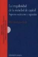 Las irregularidades de la sociedad de capital