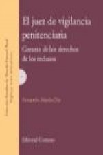 El juez de vigilancia penitenciaria