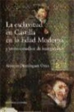 La esclavitud en Castilla en la Edad Moderna y otros estudios de marginados