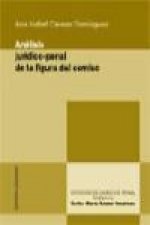 Análisis jurídico penal de la figura del comiso