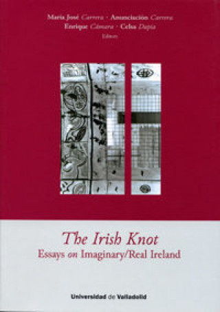 The Irish knot : essays on imaginary/real Ireland