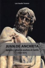Juan de Anchieta (1551-1571) : aprendiz y oficial de escultura en Castilla