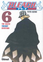 Bleach 06