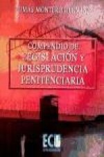 Compendio de legislación y jurisprudencia penitenciaria