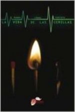 La vida de las cerillas