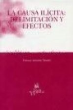 La causa ilícita : delimitación y efectos