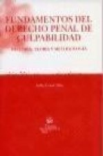 Fundamentos del derecho penal de culpabilidad : historia, teoría y metodología