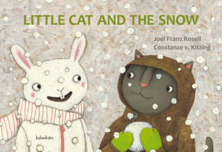 Little cat and the snow