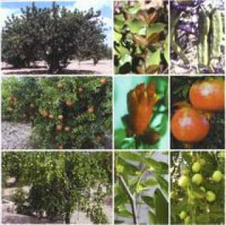 Tratado de fruticultura para zona áridas y semiáridas : algarrobo, granado y jinjolero