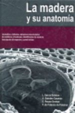 La madera y su anatomía