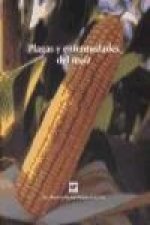 Plagas y enfermedades del maíz