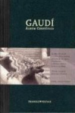 Gaudí : álbum científico