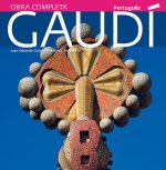 GAUDI (PORTUGUES) 2010 - INTRODUCCION A SU ARQUITECTURA