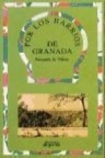 Por los barrios de Granada