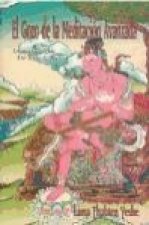 El gozo de la meditación avanzada, la práctica de los seis yogas de naropa