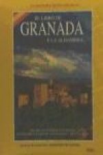 Ver y comprender Granada
