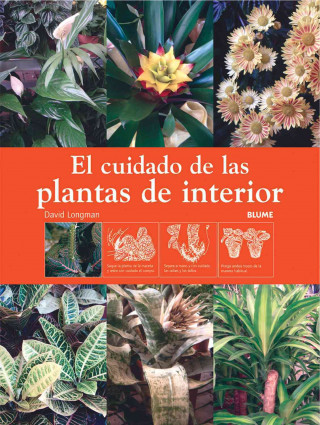 Guía práctica ilustrada para el cuidado de las plantas de interior