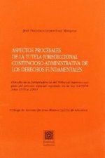 Aspectos procesales tutela jurisdiccional de derechos fundamentales