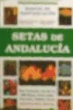 Setas de Andalucía : manual de identificación