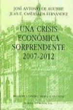 Una Crisis Economica Sorprendente 2007-12.