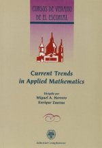 Current trends in applied mathematics
