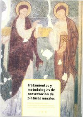 Tratamientos y metodologías de conservación de pinturas murales : actas del Seminario sobre Restauración de Pinturas Murales (Aguilar de Campoo, Palen