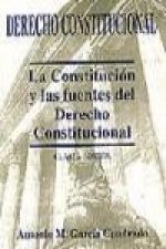 Derecho constitucional : la constitución y las fuentes del derecho constitucional