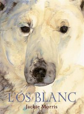 L'ós blanc