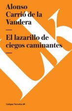 Lazarillo de Ciegos Caminantes
