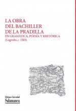 La obra del bachiller de la pradilla: gramatica, poesia y rhetorica