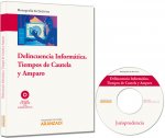 Delincuencia informática : tiempos de cautela y amparo