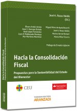 Hacia la consolidación fiscal