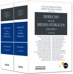 Derecho de los bienes públicos